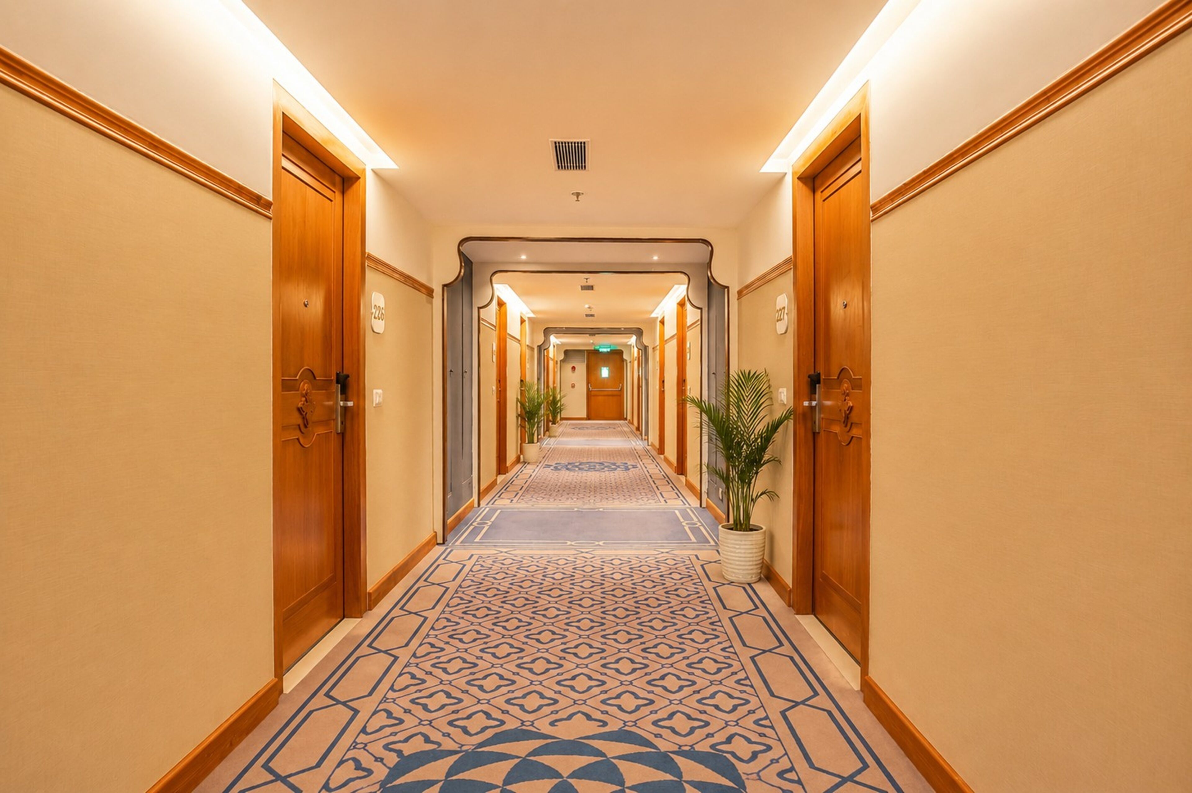 A hotel hallway with a patterned carpet, wooden doors, and a potted plant.