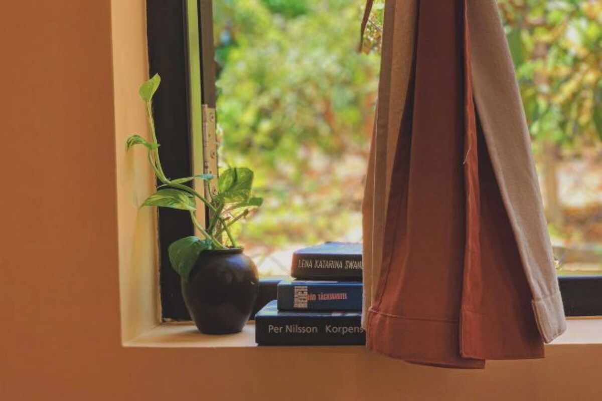 A window with a potted plant and books on a windowsill.
