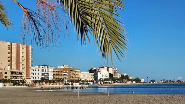 A beach with a clear sky, palm trees, and buildings in the background.
