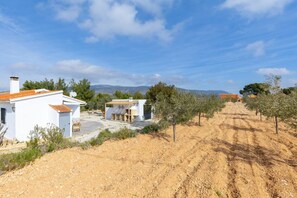 A rural property with white buildings, a dirt path, and olive trees.