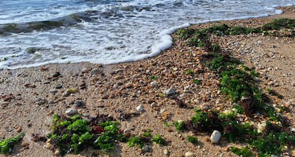 Quiet vacation home on the edge of the national forest, 600m from the sea