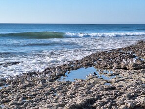 Beach nearby - Quiet vacation home on the edge of the national forest, 600m from the sea (Saint-Georges-d'Oléron)
