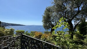 A balcony with wrought iron railing overlooking a coastal landscape with olive trees and a view of the sea. - Villa Saran, amazing seafront in Sorrento center (Sorrento)