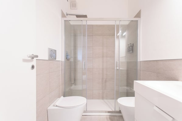 Shower, hair dryer, bidet, towels