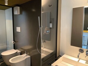 Shower, hair dryer, bidet, towels
