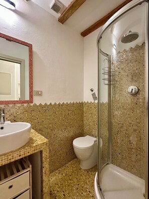 Shower, hair dryer, bidet, towels