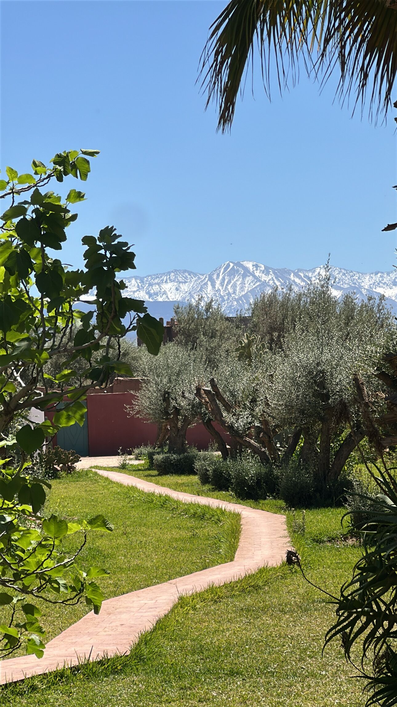 Overnattingsstedets uteområder