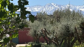 Un camino pavimentado que atraviesa un jardín con césped verde y árboles, con una cadena montañosa al fondo.