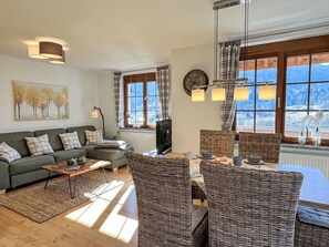 电视、DVD 播放器