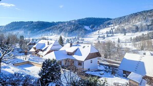 A snow-covered village with traditional houses, a clear blue sky, and a forested mountain in the background.