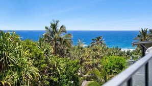 Property grounds - Beautiful Belmore Retreat Easy Walk to Beach (Noosa)