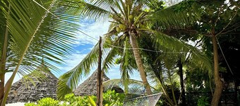 Boutique Hotel on the beach