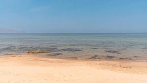 Una playa con agua cristalina y una orilla arenosa.
