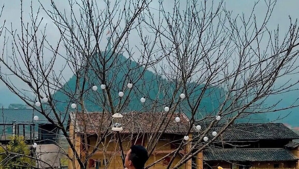 Una persona sentada en una mesa al aire libre con comida, rodeada de objetos como un farol, una olla y una lata de pintura en aerosol.