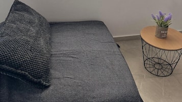 Two-Bedroom Apartment | Living area | 44-inch TV with satellite channels