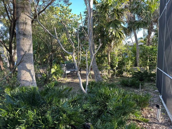 Overnatningsstedets område