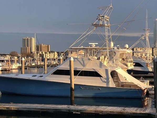 Marina