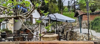 Deluxe Suite / Casa Rural Bilbao Caserio Gondra Rental