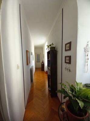 Interior - Among the charming historic buildings, the public garden, quiet apartment (Trieste)