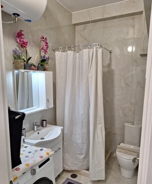 Shower, hair dryer, bidet, towels