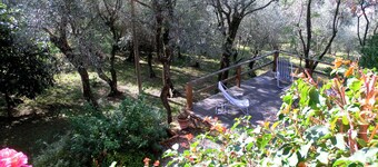 Delightful 4-bedroom villa in private olive grove with WiFi in Chiavari