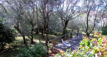 Delightful 4-bedroom villa in private olive grove with WiFi in Chiavari