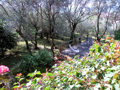 Delightful 4-bedroom villa in private olive grove with WiFi in Chiavari