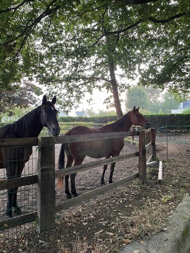 The TINY HOUSE at Le Haras.