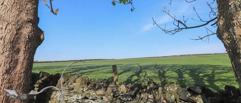 A stone wall with a metal gate, surrounded by trees and a green field under a clear sky.