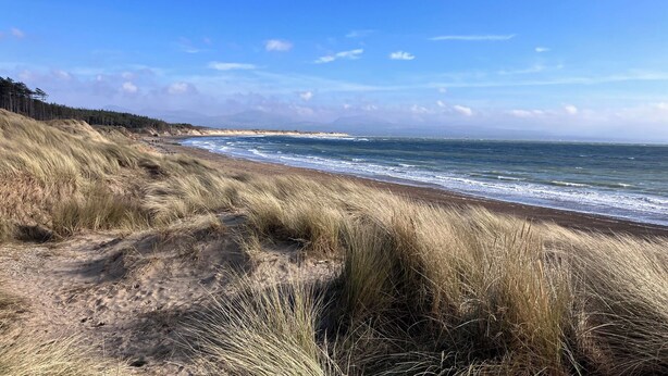 Een kustlandschap met duinen, een strand en een heldere lucht.