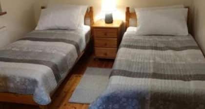 Town Centre 2-bedroom house with WiFi in Muine Bheag