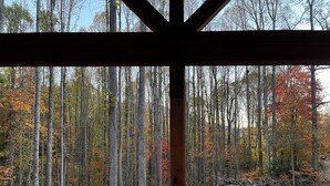 A wooden deck with a view of a forest of tall trees with autumn foliage.