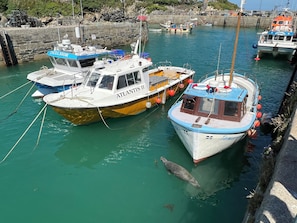 Port de plaisance