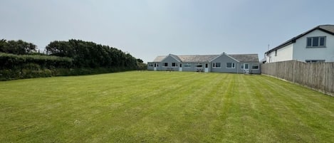 A large, well-maintained grassy yard with a row of houses in the background.
