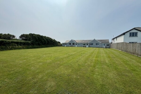 A large, well-maintained grassy yard with a row of houses in the background.