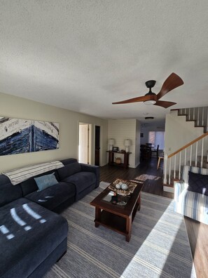 Televisión, chimenea, reproductor de DVD