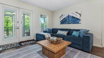 TV, fireplace, DVD player
