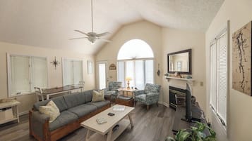 电视、壁炉、DVD 播放器