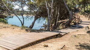 Une promenade en bois mène à un escalier en bois qui surplombe une étendue d’eau, le tout étant entouré d’arbres.