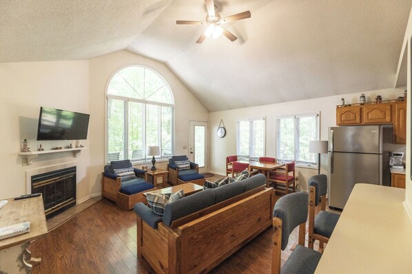 Televisión, chimenea y reproductor de DVD 