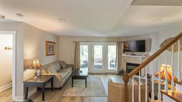 Télévision, cheminée, lecteur de DVD