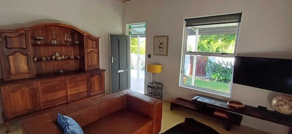 Smart TV, fireplace, books