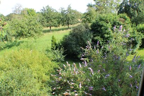 Property grounds - Cozy vacation apartment "Grüne Idylle" in Kirchberg an der Jagst for up to 6 people (Kirchberg an der Jagst)