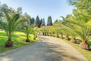 Interior - Luxe Vineyard Villa w/ Views & Fire Pit in Loomis! (Loomis)