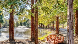 Interior - Luxe Vineyard Villa w/ Views & Fire Pit in Loomis! (Loomis)