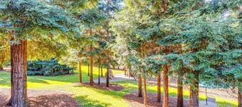 Luxe Vineyard Villa w/ Views & Fire Pit in Loomis!