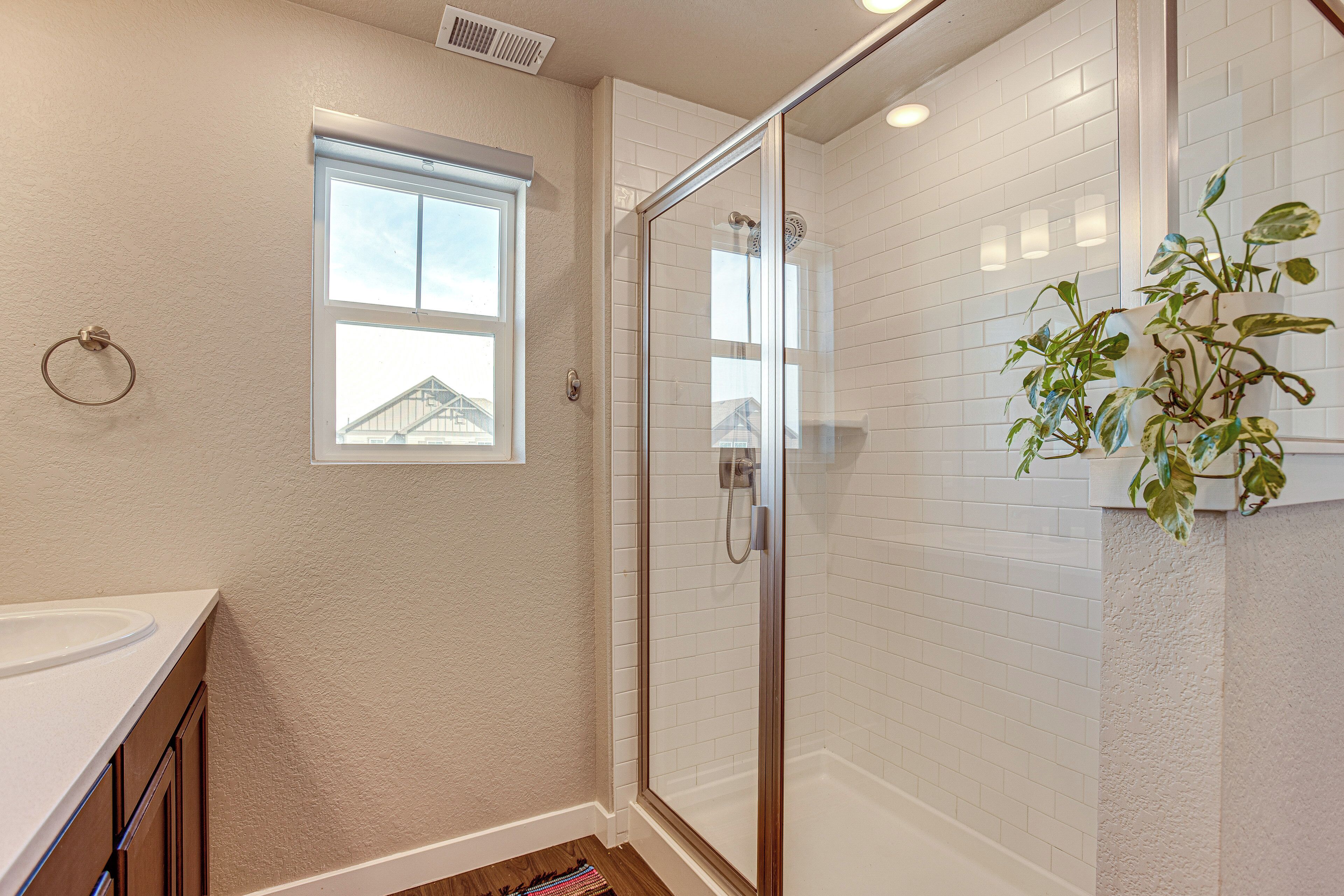 Une salle de bain avec une douche en verre, une fenêtre et une plante en pot.