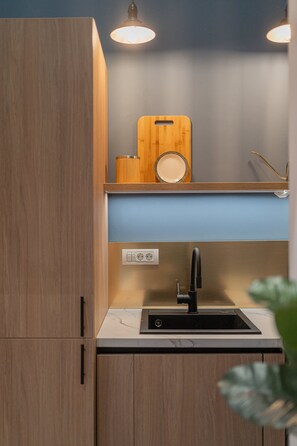 1 bedroom - Urban Chic Studios Near Cismigiu & Calea Victoriei (Bucharest)