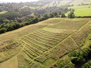 House - Luxury Glamping - Charlcombe Valley Orchards Bath (Bath)