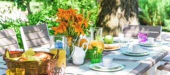 Exclusive villa with large park and swimming pool to 8 km from Cremona Lombardy